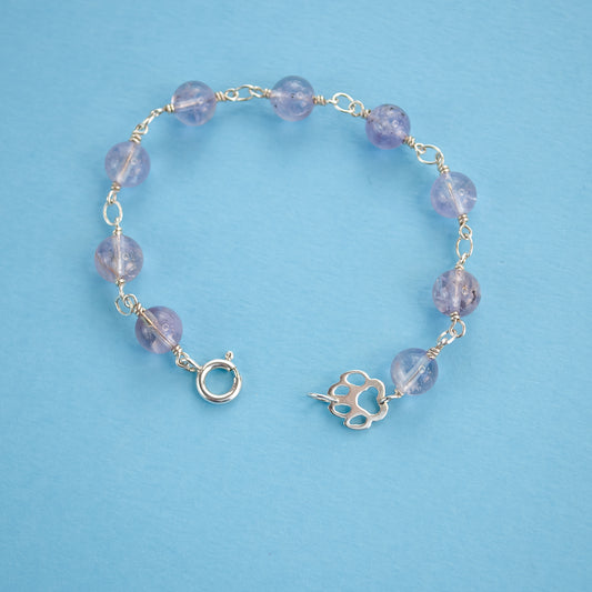 Paw Love Bracelet in Amethyst
